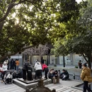 苏州旅游 缩略图 14