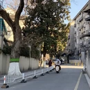 南京旅游 缩略图 17