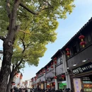 苏州旅游 缩略图 18