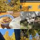 苏州旅游 缩略图 6