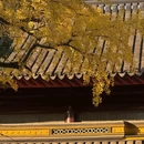 苏州旅游 缩略图 7