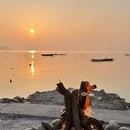 苏州旅游 缩略图 3