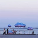 上海旅游 缩略图 11