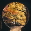 苏州旅游 缩略图 4