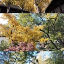 苏州旅游 缩略图 10