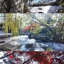苏州旅游 缩略图 9
