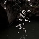 苏州旅游 缩略图 10