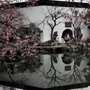 苏州旅游 缩略图 5