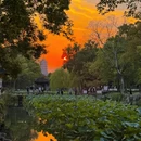 苏州旅游 缩略图 5
