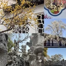 苏州旅游 缩略图 10