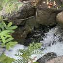 苏州旅游 缩略图 6