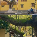 南京旅游 缩略图 10