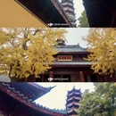 南京旅游 缩略图 11