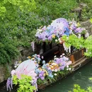 苏州旅游 缩略图 1
