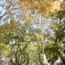 南京旅游 缩略图 13