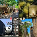 济南旅游 缩略图 6