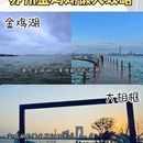 苏州旅游 缩略图 5