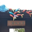 苏州旅游 缩略图 11