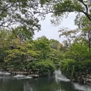 苏州旅游 缩略图 13