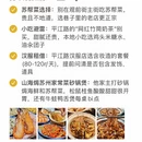 苏州旅游 缩略图 11