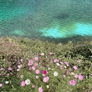 苏州旅游 缩略图 5