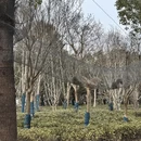 盐城旅游 缩略图 7