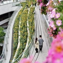 上海旅游 缩略图 16