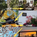 苏州旅游 缩略图 2
