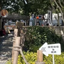 上海旅游 缩略图 5