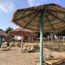 盐城旅游 缩略图 11