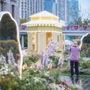 上海旅游 缩略图 14