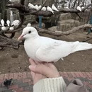 盐城旅游 缩略图 8