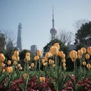 上海旅游 缩略图 8