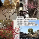 苏州旅游 缩略图 12