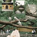 苏州旅游 缩略图 2
