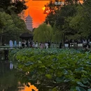苏州旅游 缩略图 10
