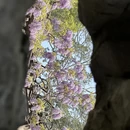 苏州旅游 缩略图 11