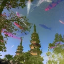 苏州旅游 缩略图 8