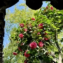苏州旅游 缩略图 12