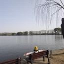 上海旅游 缩略图 5
