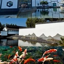 苏州旅游 缩略图 8