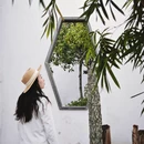 苏州旅游 缩略图 16