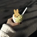 苏州旅游 缩略图 12