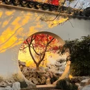 苏州旅游 缩略图 2