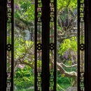 苏州旅游 缩略图 2
