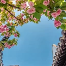 苏州旅游 缩略图 4