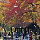 苏州旅游 缩略图 9