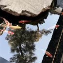 苏州旅游 缩略图 5