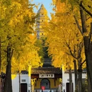 苏州旅游 缩略图 6