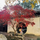 苏州旅游 缩略图 7